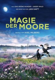 Magie-der-Moore-2015