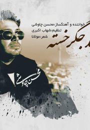 محسن چاوشی به نام صید جگر خسته