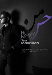 Sina Shabankhani-Hesse Man